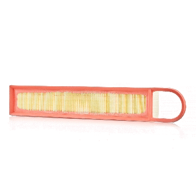 Air Filter (801002350)