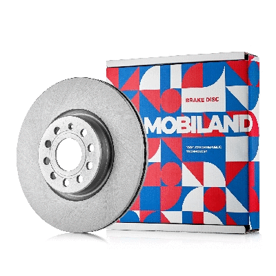 Brake Disc (416101091)