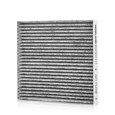 Filter, cabin air (804002311)