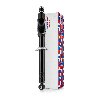 Shock Absorber (134205790)