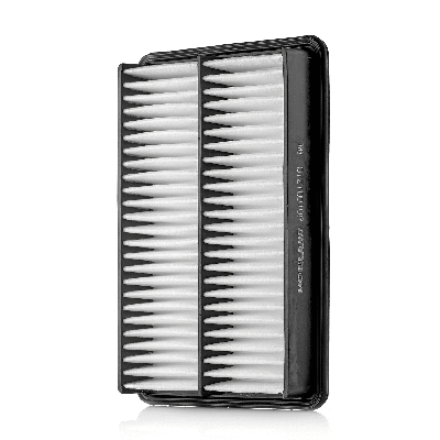 Air Filter (801001210)