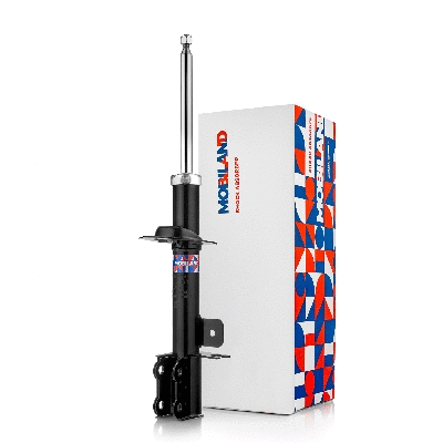 Shock Absorber (134212230)