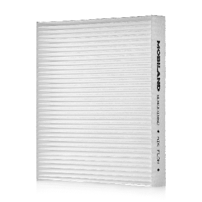 Filter, cabin air (804001950)