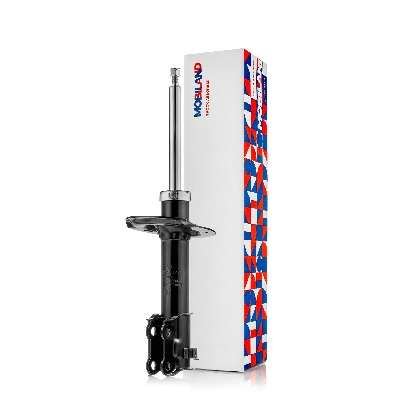 Shock Absorber (134125620)