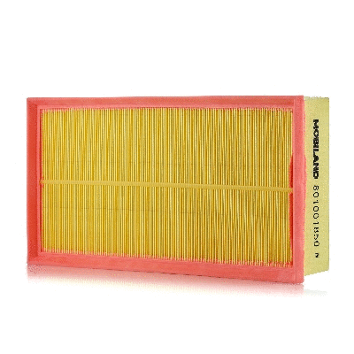 Air Filter (801001850)