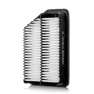 Air Filter (801001420)