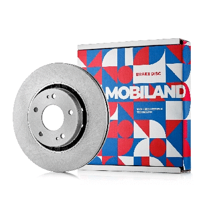 Brake Disc (416101371)