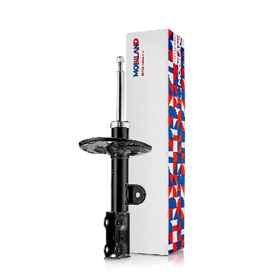 Shock Absorber (134124560)