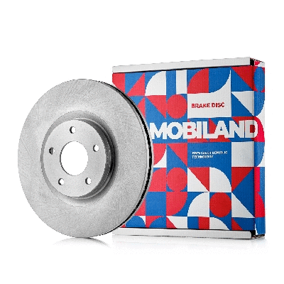 Brake Disc (416101151)