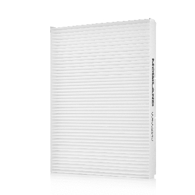 Filter, cabin air (804002140)