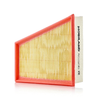 Air Filter (801002050)