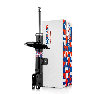 Shock Absorber (134112980)