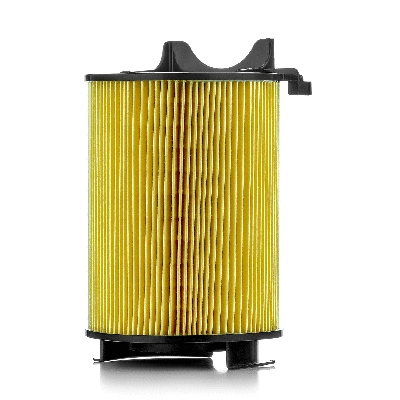 Air Filter (801001760)