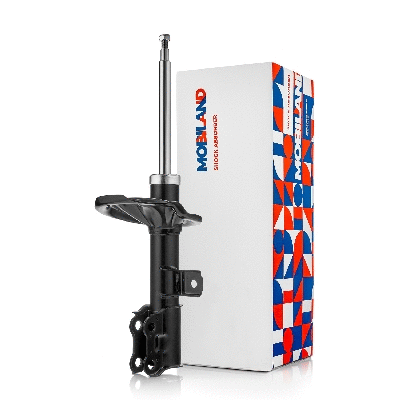 Shock Absorber (134113020)