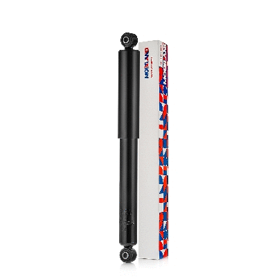 Shock Absorber (134106890)