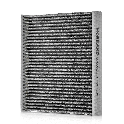 Filter, cabin air (804001631)