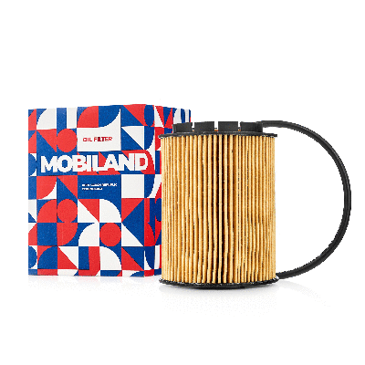 Oil Filter (802003210)