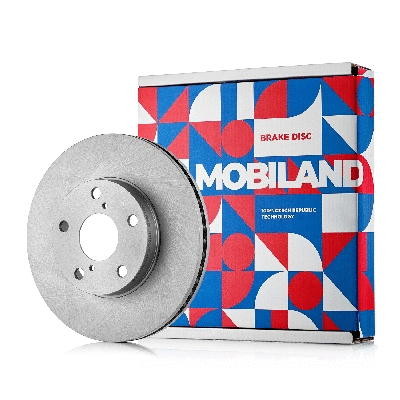 Brake Disc (416101271)