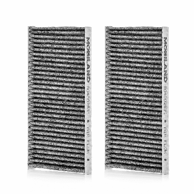 Filter, cabin air (804002631)