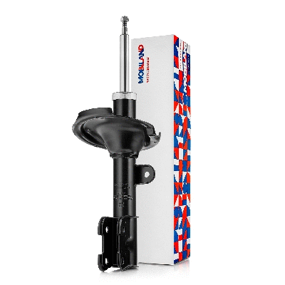 Shock Absorber (134114790)