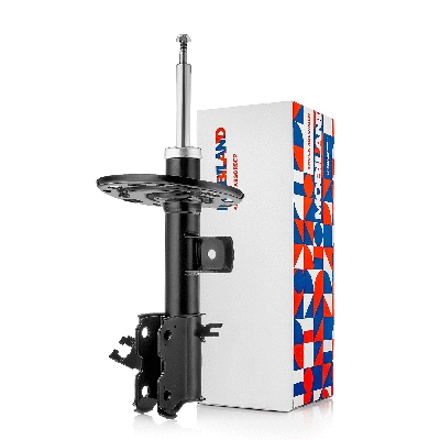 Shock Absorber (134116570)