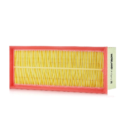 Air Filter (801001730)