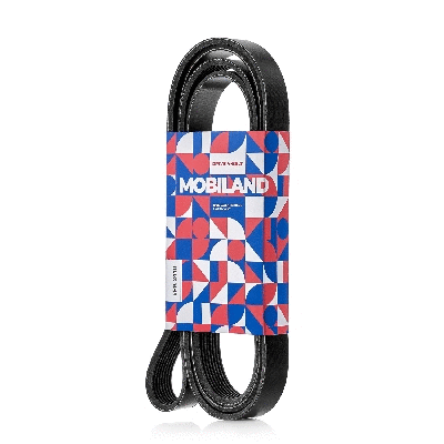 V-Ribbed Belt (8PK2410)