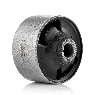 Mounting, control/trailing arm (142102200)