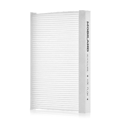Filter, cabin air (804001980)