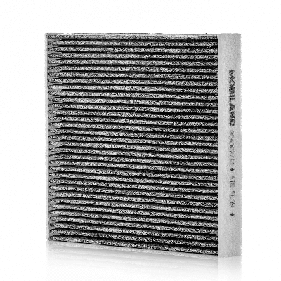 Filter, cabin air (804002711)
