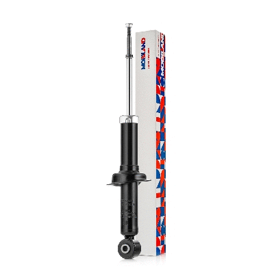 Shock Absorber (134206330)