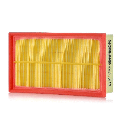Air Filter (801001120)