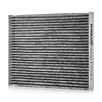 Filter, cabin air (804001921)