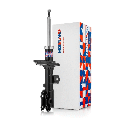 Shock Absorber (134123050)