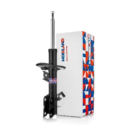 Shock Absorber (134123360)