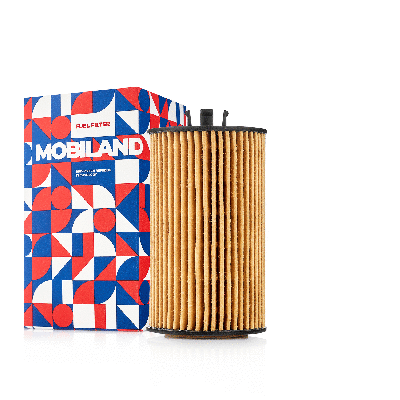 Oil Filter (802001490)