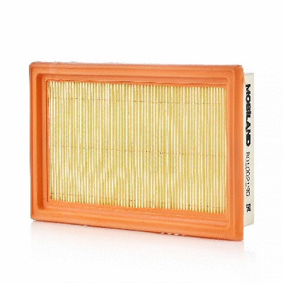 Air Filter (801002190)