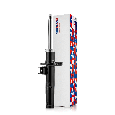 Shock Absorber (134106250)