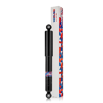 Shock Absorber (134203060)