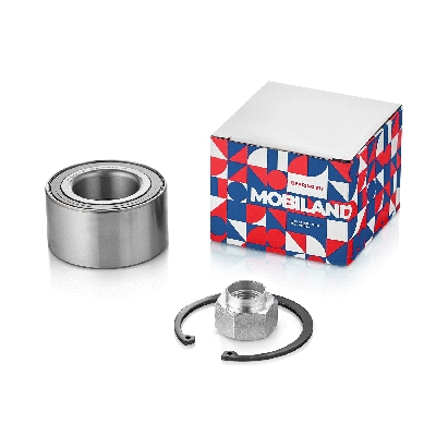 Wheel Bearing (219102830)
