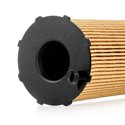 Oil Filter (802003190)
