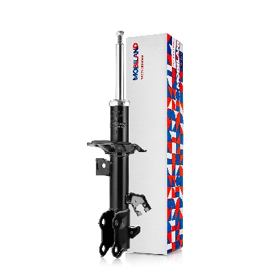 Shock Absorber (134124960)