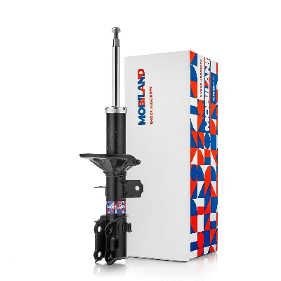 Shock Absorber (134122570)