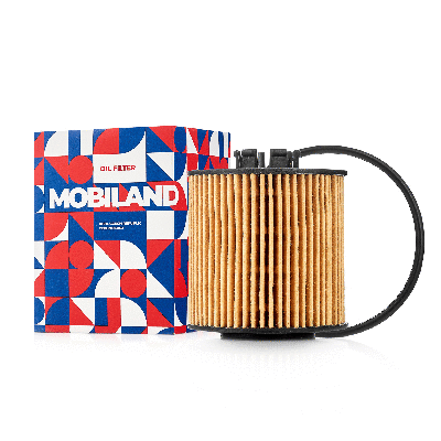 Oil Filter (802002940)