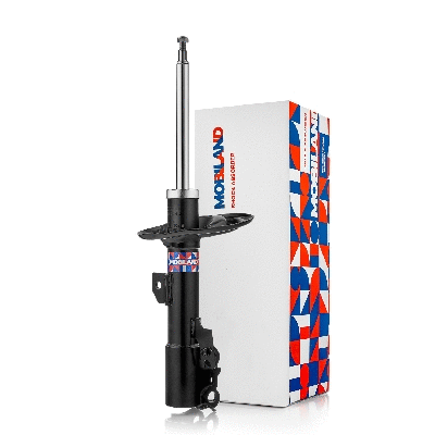 Shock Absorber (134113740)