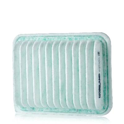 Air Filter (801001820)