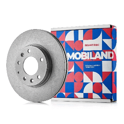 Brake Disc (416102811)