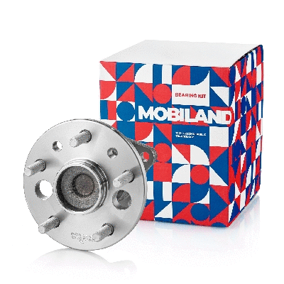Wheel Hub (220221760)