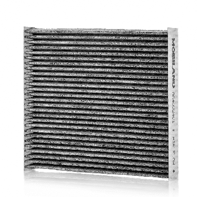 Filter, cabin air (804002401)