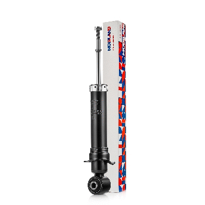Shock Absorber (134206230)